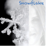 Snowflake Icon